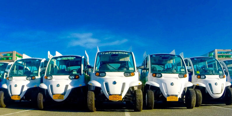 The Free Ride: Free and Sustainable Transportation